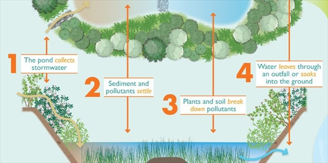Stormwater Process Chart Infographic detailing how storm water ponds keep pollutants and sediment out of our local rivers
