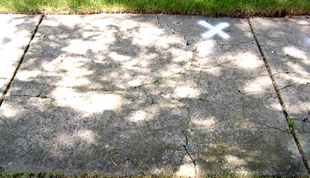a section of sidewalk in need of repair is marked with a spray-painted X